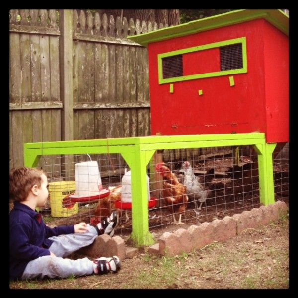 chicken coop