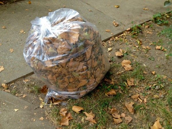 Bag of leaves