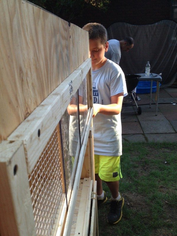 paul builds a coop