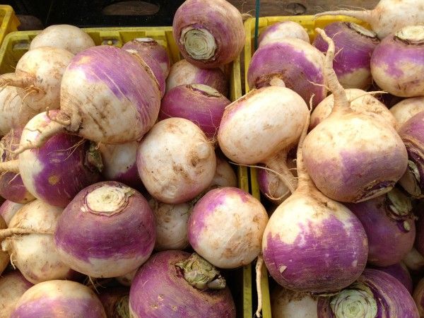 Turnips at the Grand Army Plaza Greenmarket