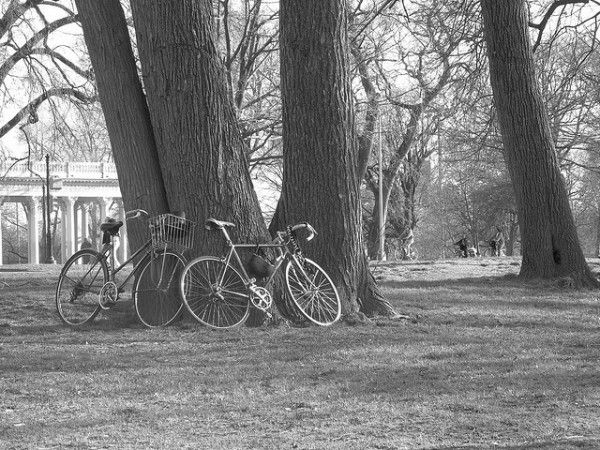 prospect park bikes by kurtrik