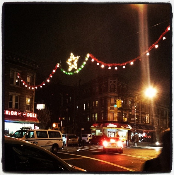 cortelyou christmas lights by flatbushfood