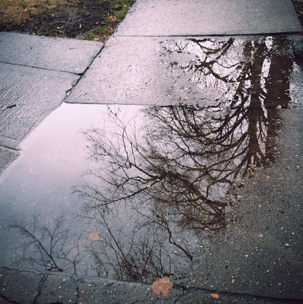 puddle by hannahturnerphoto