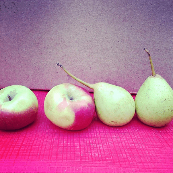 greenmarket fruit apples via instagram