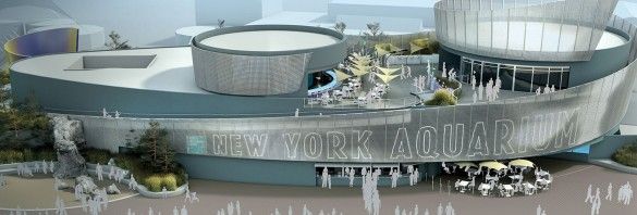 Get Your Name On The Wall Of NY Aquarium's New Sharks! Building