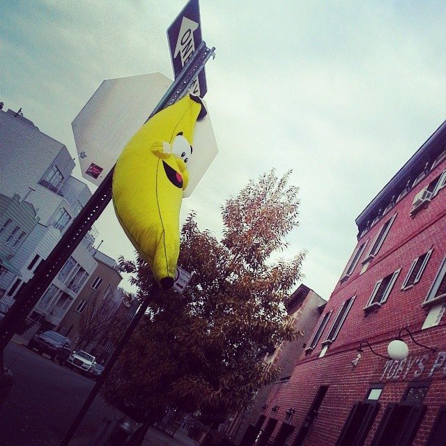 Photo Of The Day: Bananas