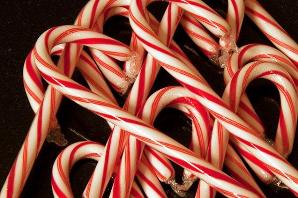 Candy Canes by GenBug on Flickr