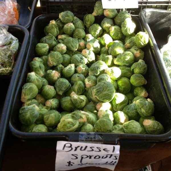 Brussels Sprouts at Cortelyou Greenmarket