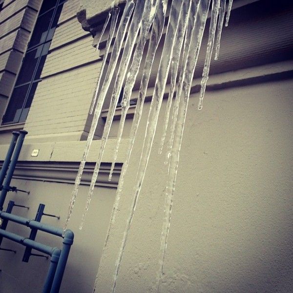 icicles