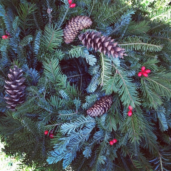wreath by bkgreenmarkets on Instagram