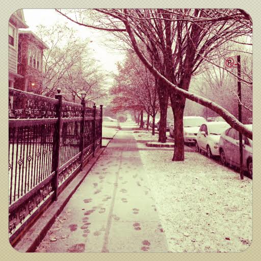 snow on dorchester by suzanne bohnker