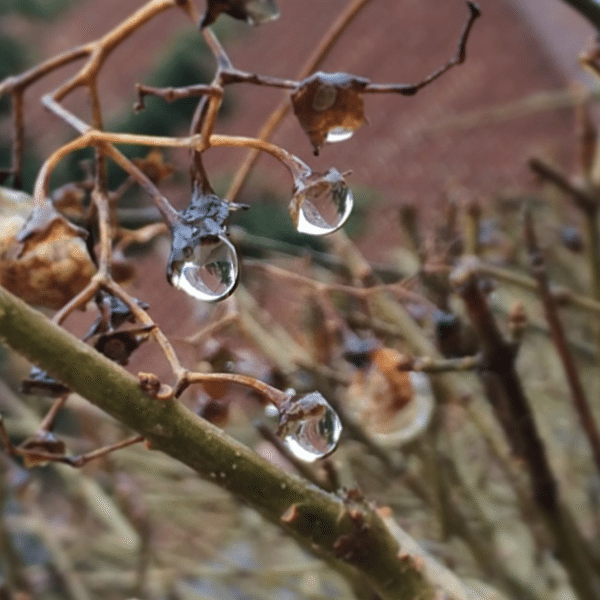 water droplets by akhkn_uncentered