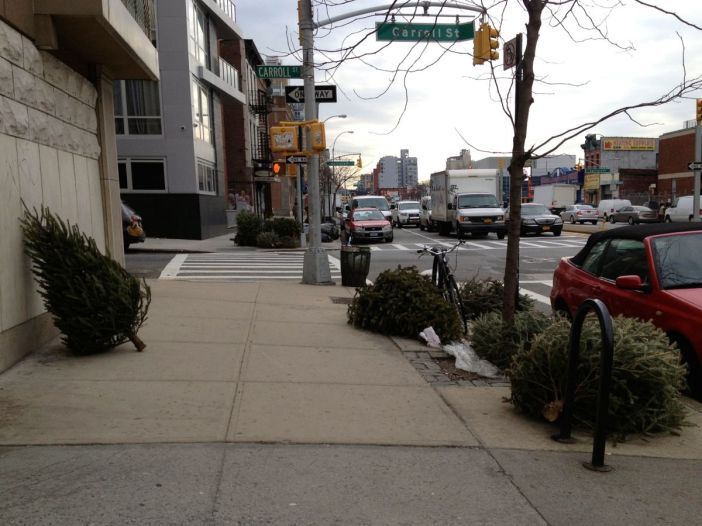 Christmas Trees Trash Curbside Mulch Collection