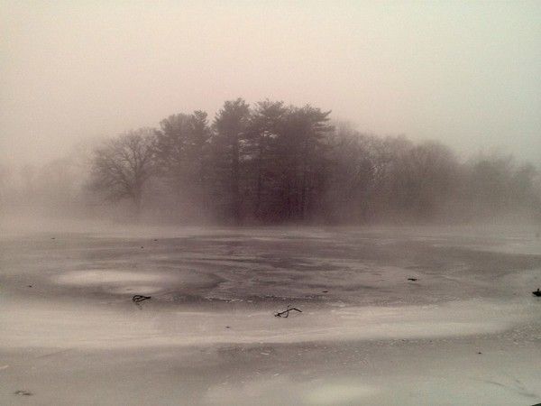 Foggy Prospect Park by Deb Klein