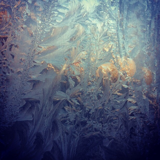 Photo Of The Day: Ice Ice Baby