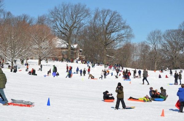 Sledding via Prospect Park