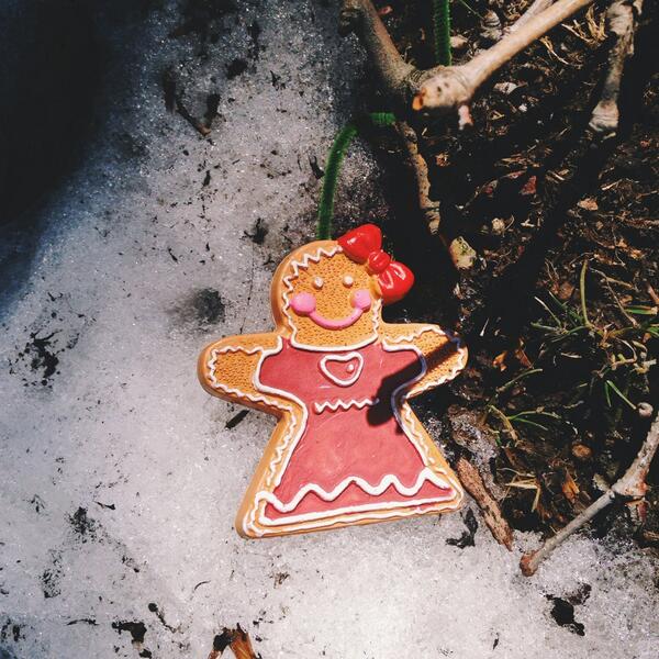 snow gingerbread cookie by Arctic_Alice