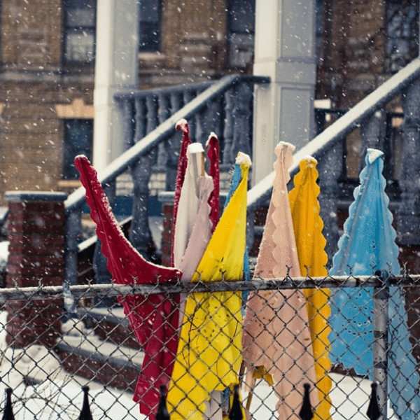 snowy flags by allengcarr