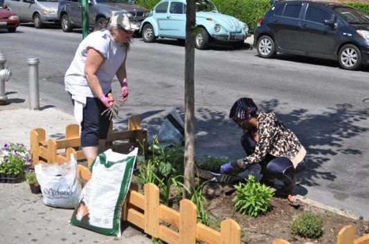 Newkirk Planting