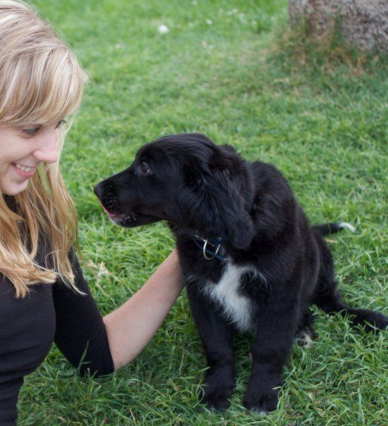 eleanor howe of prospect park pets