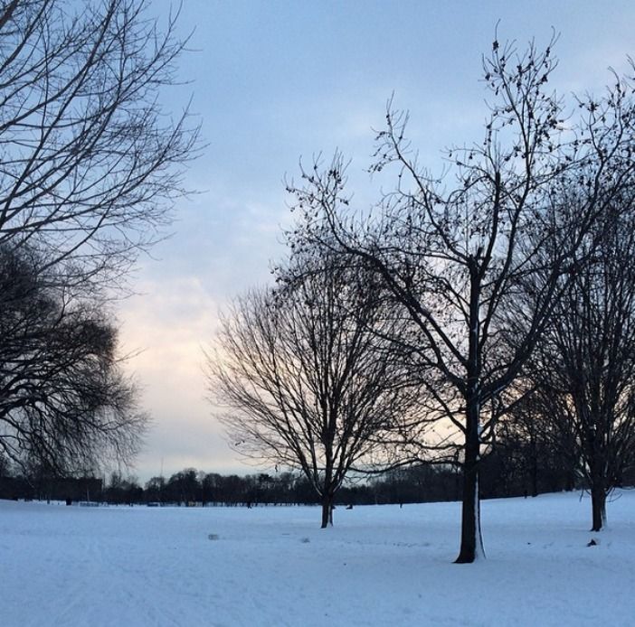 prospect park twilight