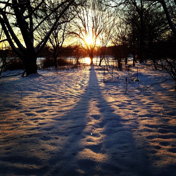 Sun and snow in Prospect Park by chandlerkauffman on Instagram