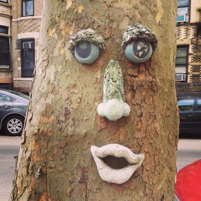 Tree Face On 1st Street