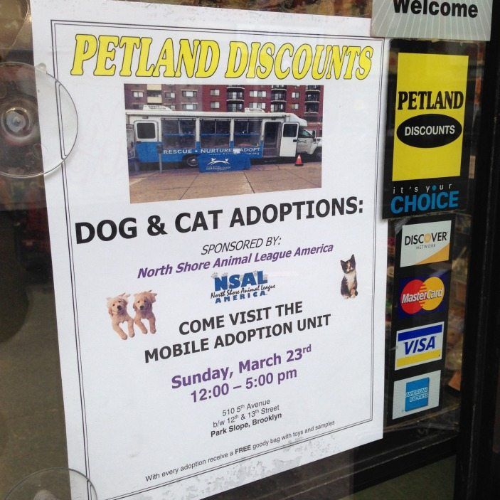 Meet A New Friend At Petland’s Mobile Adoption Event Sunday