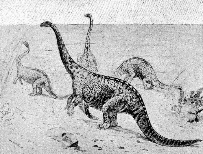Dinosaurs via wikimedia