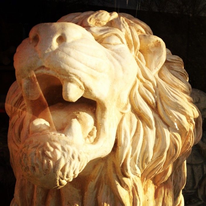 Lion Statue in R&A Hardware window