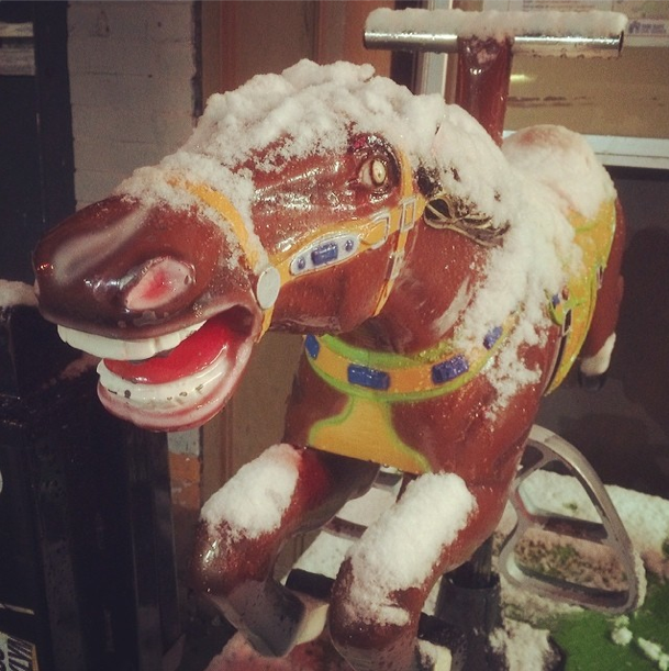 Snow Horse by mfont681 on Instagram