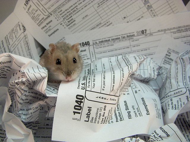 tax hamster via flickr