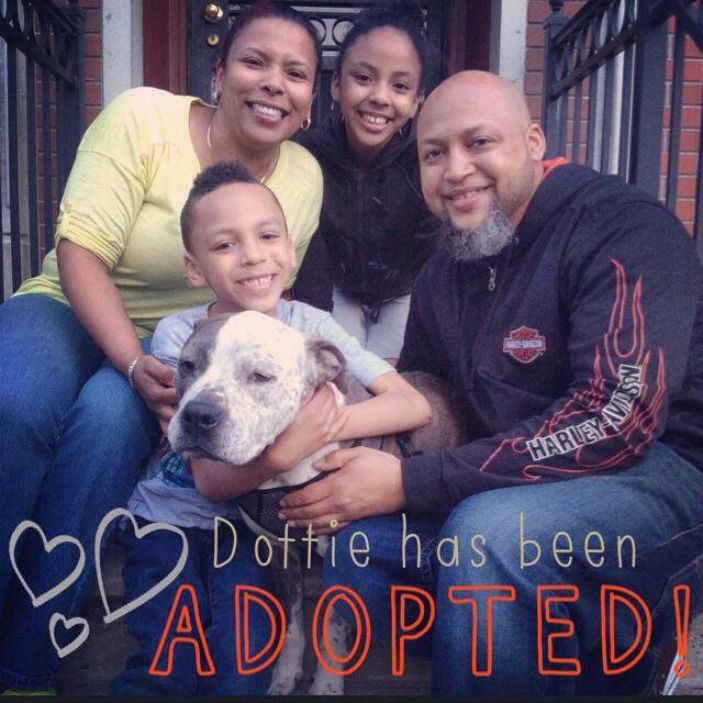 Dottie Adopted.jpg