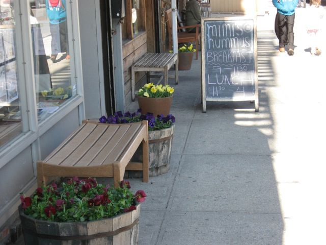 cortelyou flower planters by tracey hohman