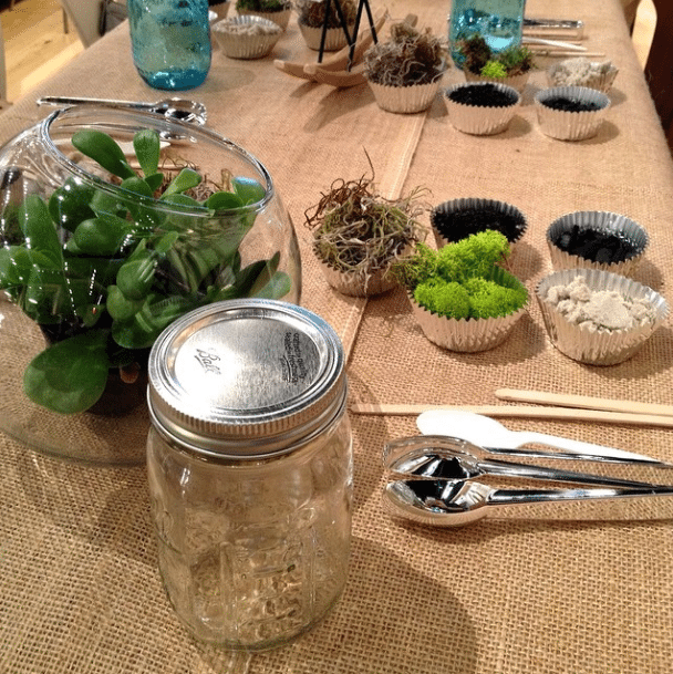 diy terrarium by kneesonleaves