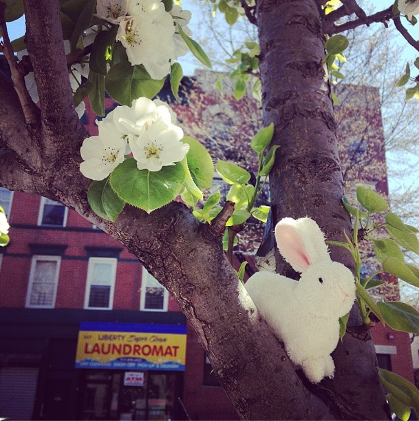 Bunny Tree by kathryn_holmes on Instagram
