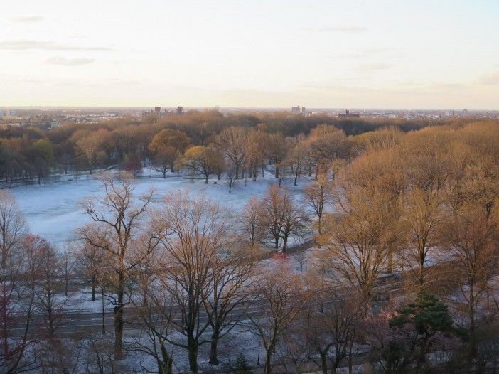 April Snow in Prospect Park, by Dennis Gronim