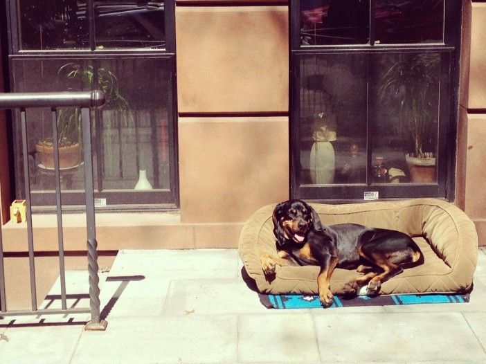 Photo by Mary Bakija/Park Slope Stoop