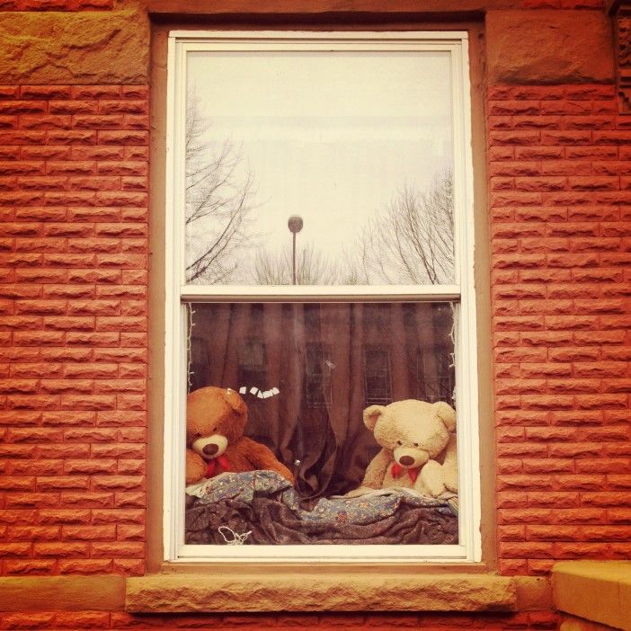 Window Bears