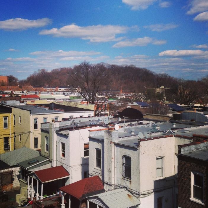 windsor terrace rooftop.jpg