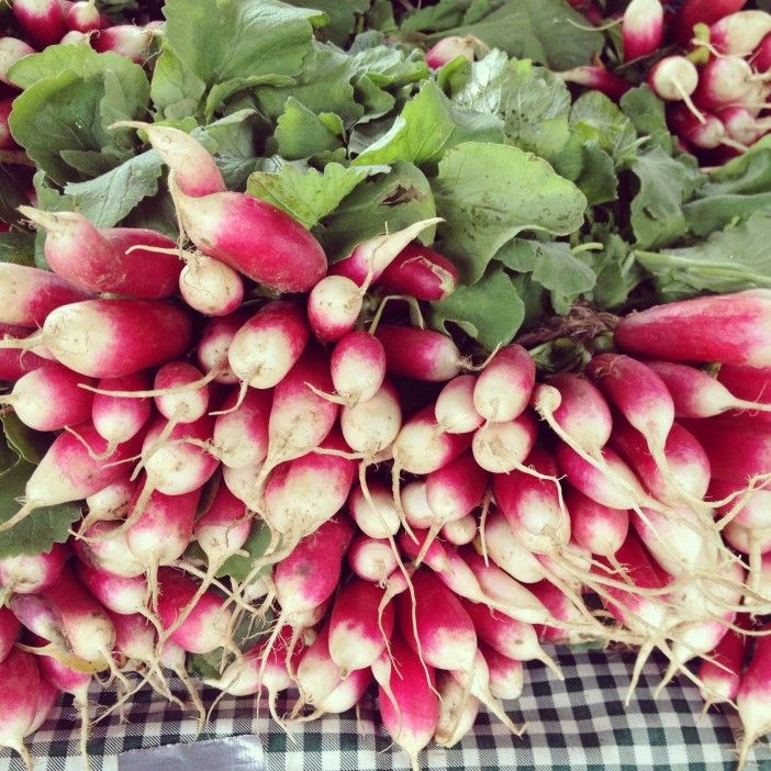 Park Slope Farmers Market Radishes