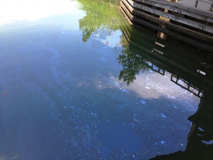 Gowanus Canal Water