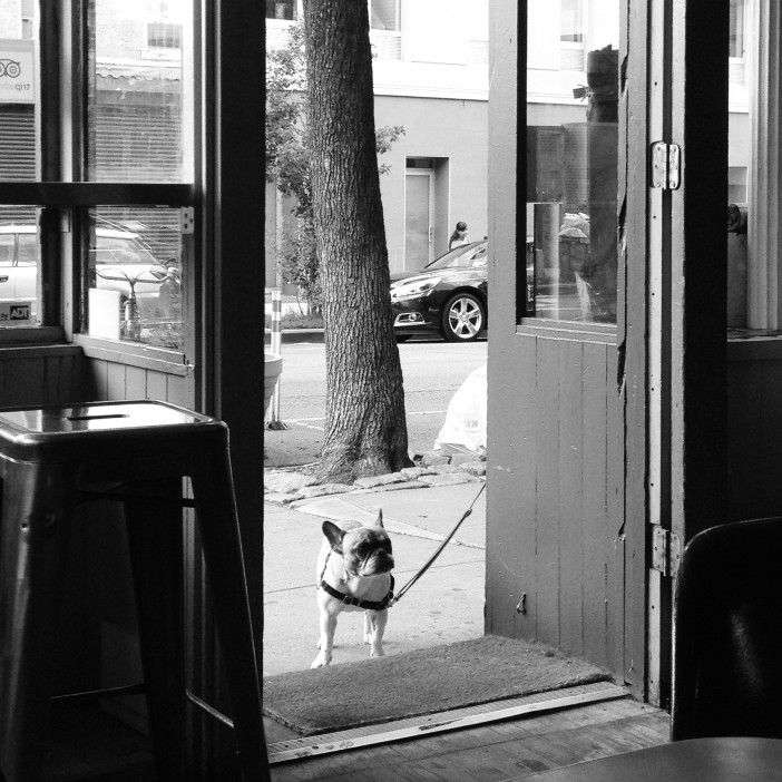 Photo by Mary Bakija/Park Slope Stoop