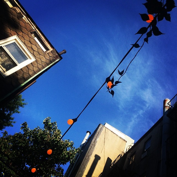 hanson dry backyard sky via fortgreenefocus