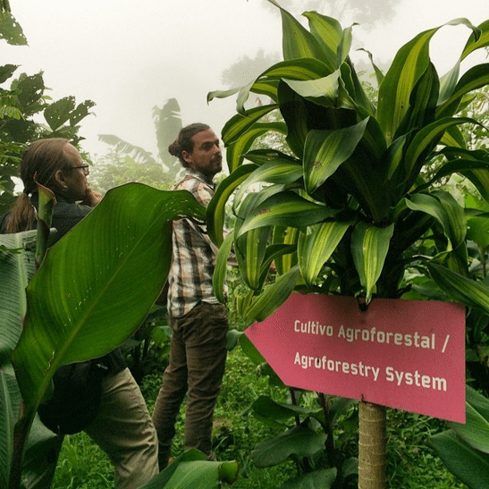 Coffee Mob going to Colombia