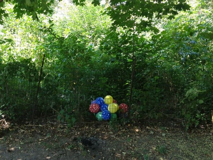 balloons, prospect park