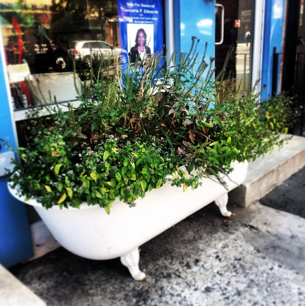 bathtub planter via fortgreenefocus