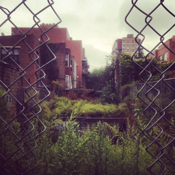 chain link fence and field by lindsaytphoto