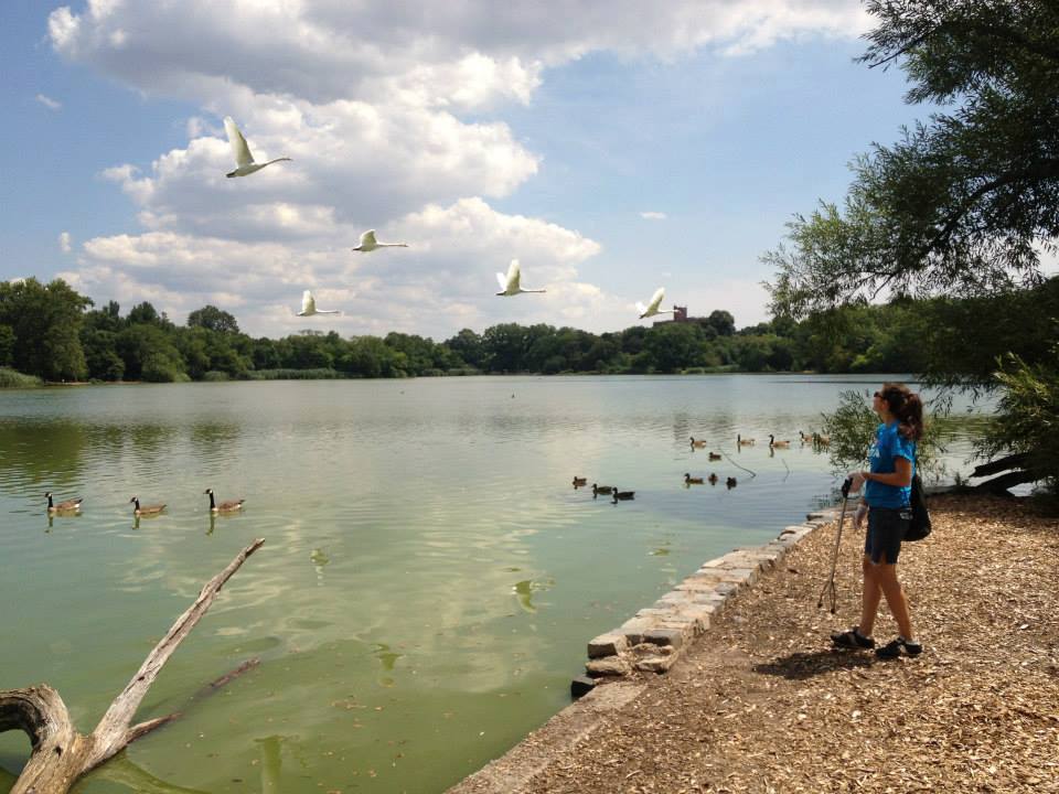 Join WILD For Prospect Park’s Lakeside Cleanup Tomorrow