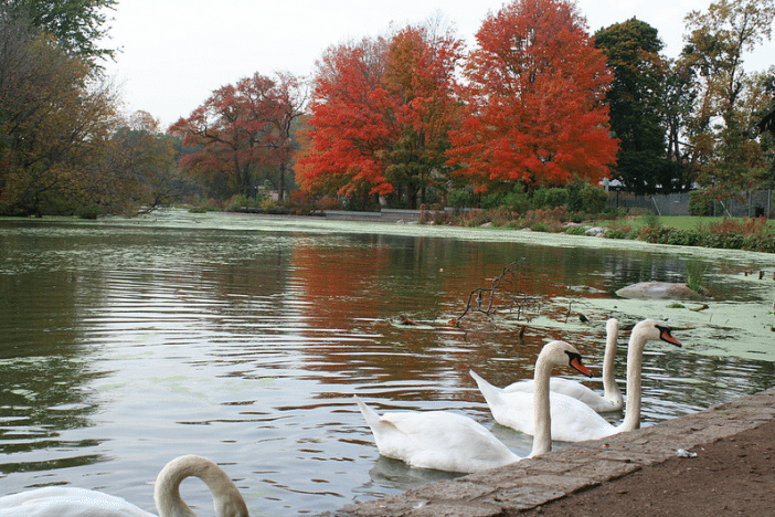 Fall in Prospect Park